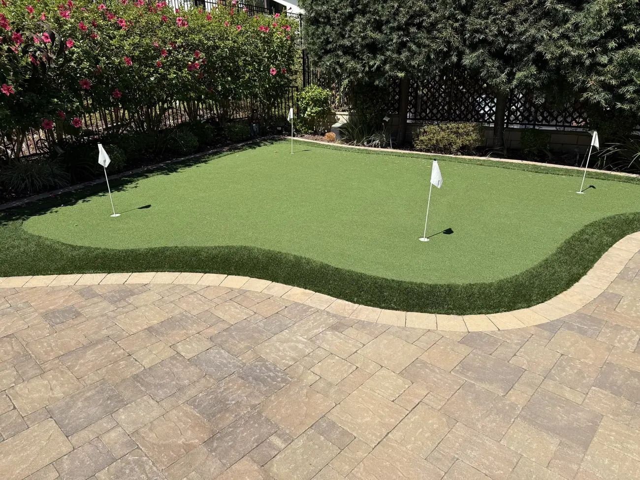 Backyard putting green with curved paver border and flowering hedge