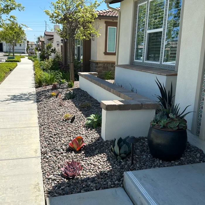 Drought-tolerant front yard with succulents and rock landscaping