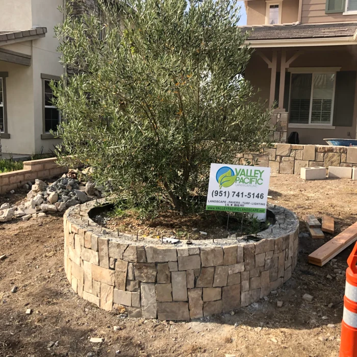 Custom stone tree ring planter by Valley Pacific Landscape